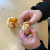 Projet avec l'association les Petits Frères - Atelier des senteurs