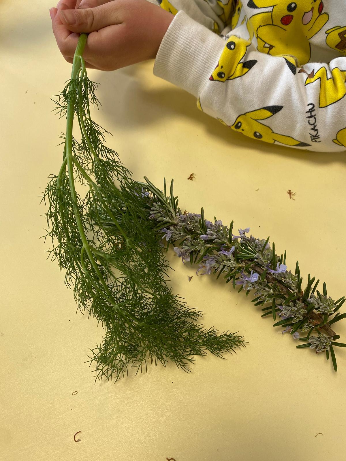 Projet avec l'association les Petits Frères - Atelier des senteurs