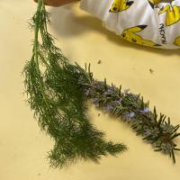 Projet avec l'association les Petits Frères - Atelier des senteurs