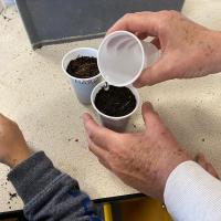 Projet avec l'association les Petits Frères - Semis de tomates