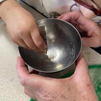 Projet avec l'association les Petits Frères - Semis de tomates